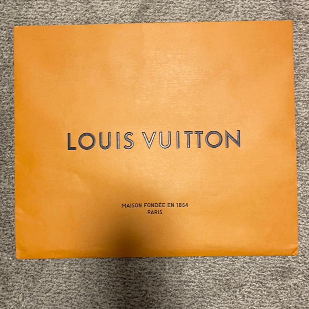 Louis Vuitton shopping bag